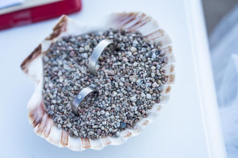 die Trauringe innerhalb einer Muschel für die rechtsgültige Trauung am Meer - meer sardinien urlaub