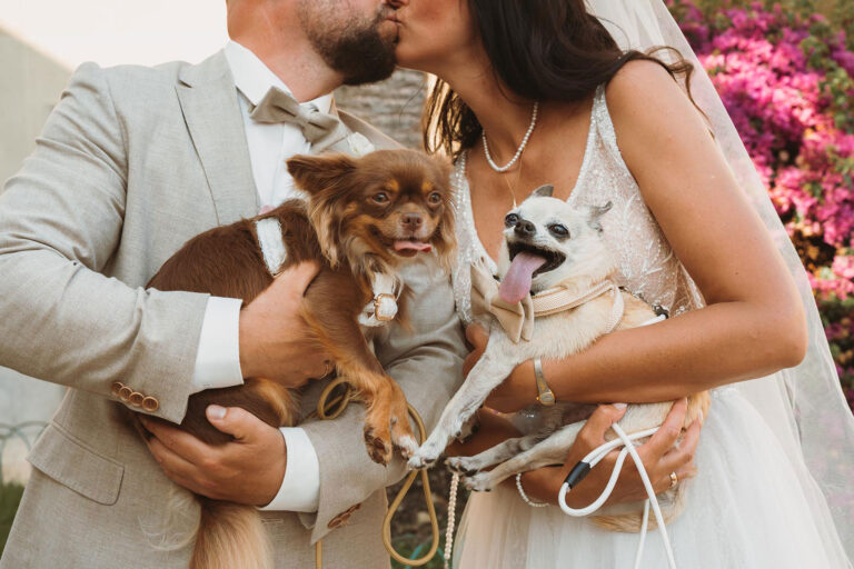 küssendes-Brautpaar-mit-den-vierbeinigen-Kindern-im-Arm,-Trauung-im-Standesamt---meer-sardinien-urlaub-copia