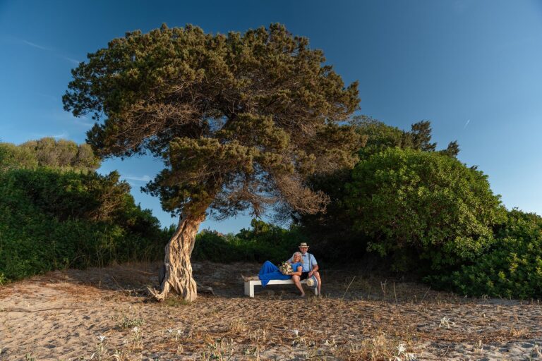 das-Brautpaar-auf-einer-Bank-unter-einem-knorrigen-Wacholderbaum-am-Strand-nach-der-zauberhaften-Strandhochzeit---meer-sardinien-urlaub