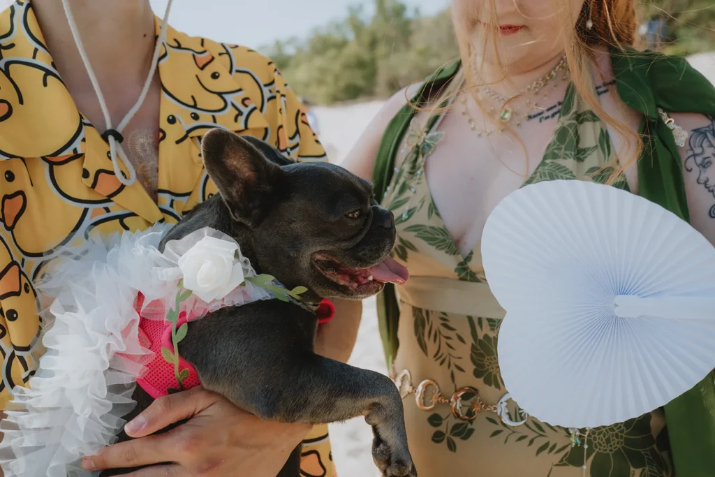 die bunt gekleideten Gäste halten den Hund zur Strandhochzeit, meer sardinien urlaub