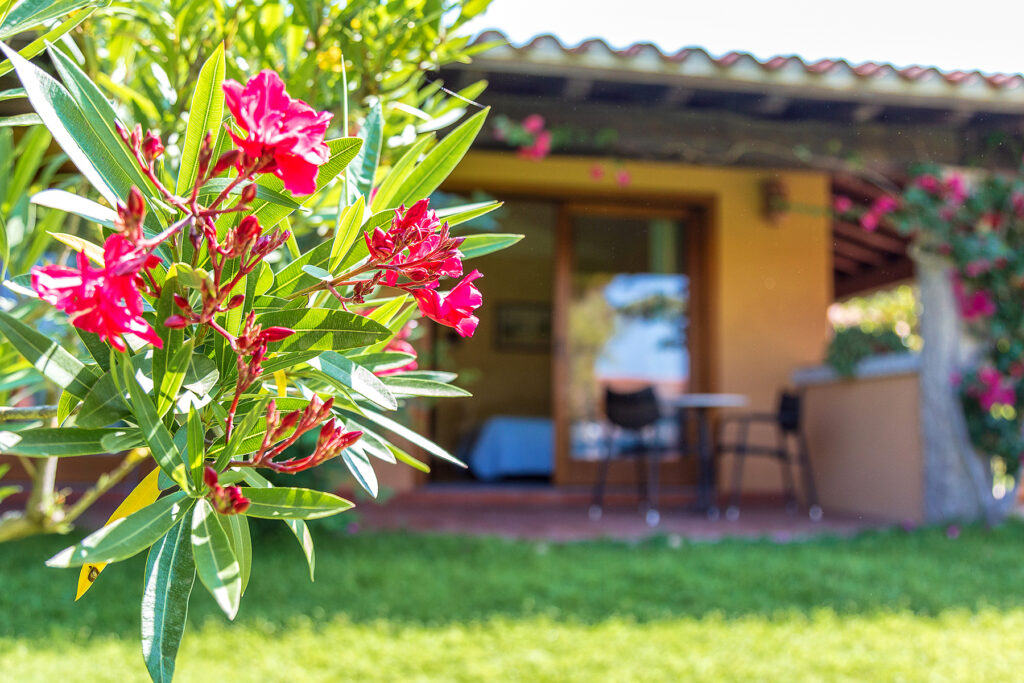 Aussenbereich eines Standard-Zimmers, Hotel Club Saraceno, Arbatax - meer sardinien urlaub