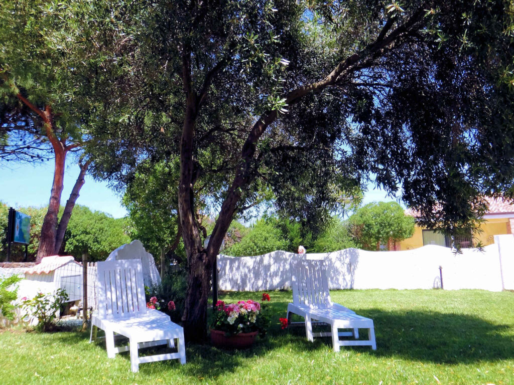 der Garten vom Hotel Tartaruga Bianca, La Ciaccia-Valledoria - meer sardinien urlaub