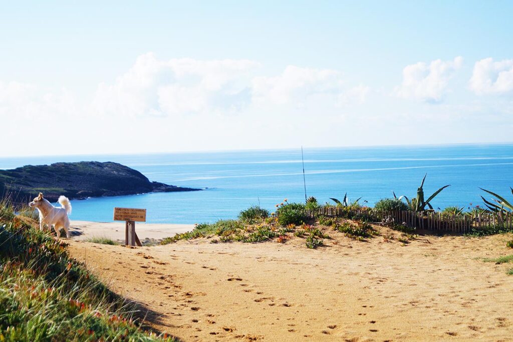der Weg zum Strand, Hotel Villaggio Sabbie D&acute;Oro, Torre dei Corsari - meer sardinien urlaub