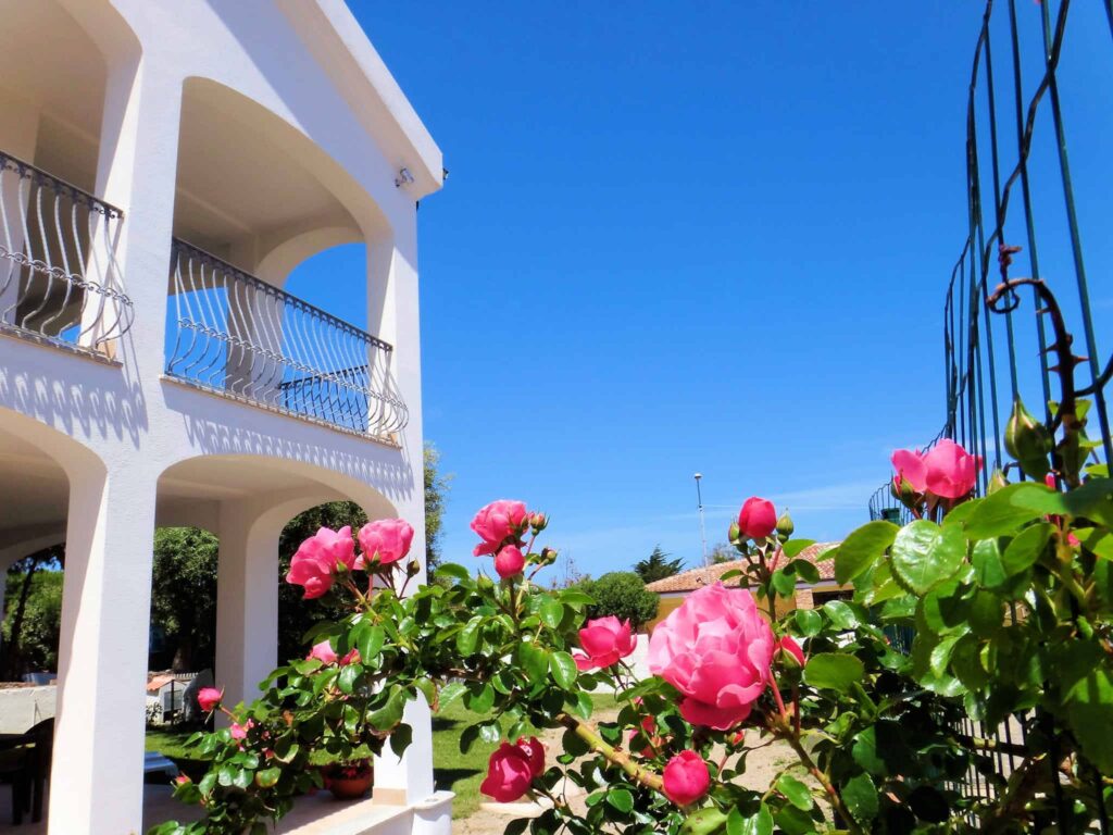 der bluehende Garten und die Aussenfassade vom Hotel Tartaruga Bianca, La Ciaccia-Valledoria - meer sardinien urlaub