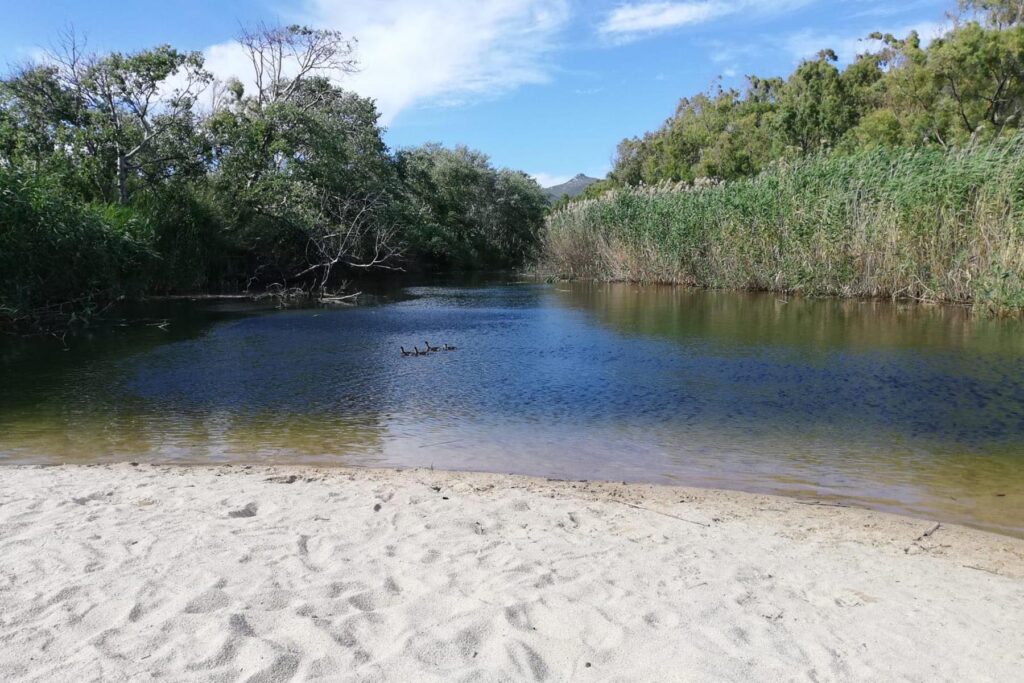Die Flussmündung am Strand von Geremeas beim Ferienhaus Elea - meer sardinien urlaub