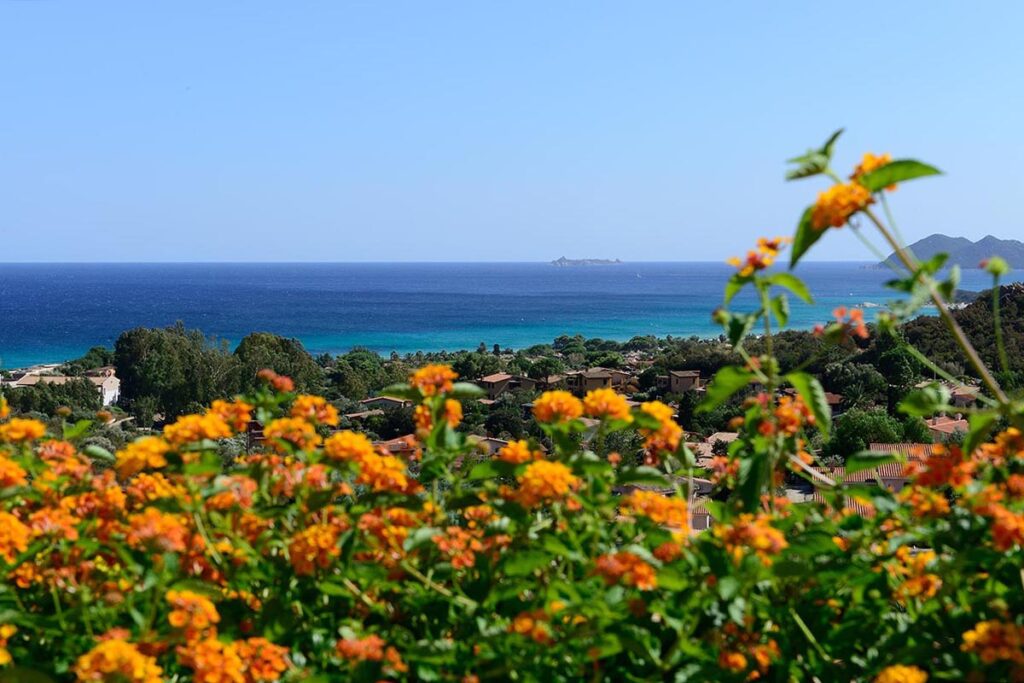 Wandelr&ouml;schen im Garten des Ferienhauses Stella mit dem herrlichen Meer von Costa Rei im Hintergrund - meer sardinien urlaub