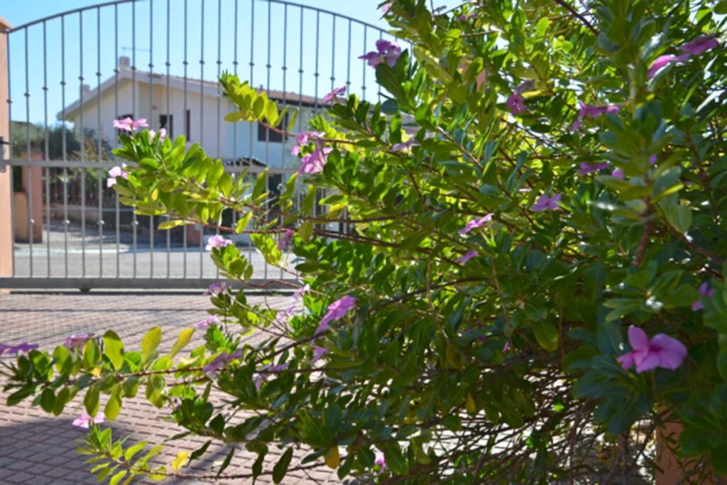 das Tor der Ferienwohnung Le Terrazze Trilo - meer sardinien urlaub