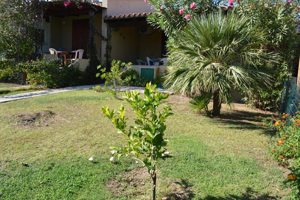der Garten des Ferienhauses Escargot - meer sardinien urlaub