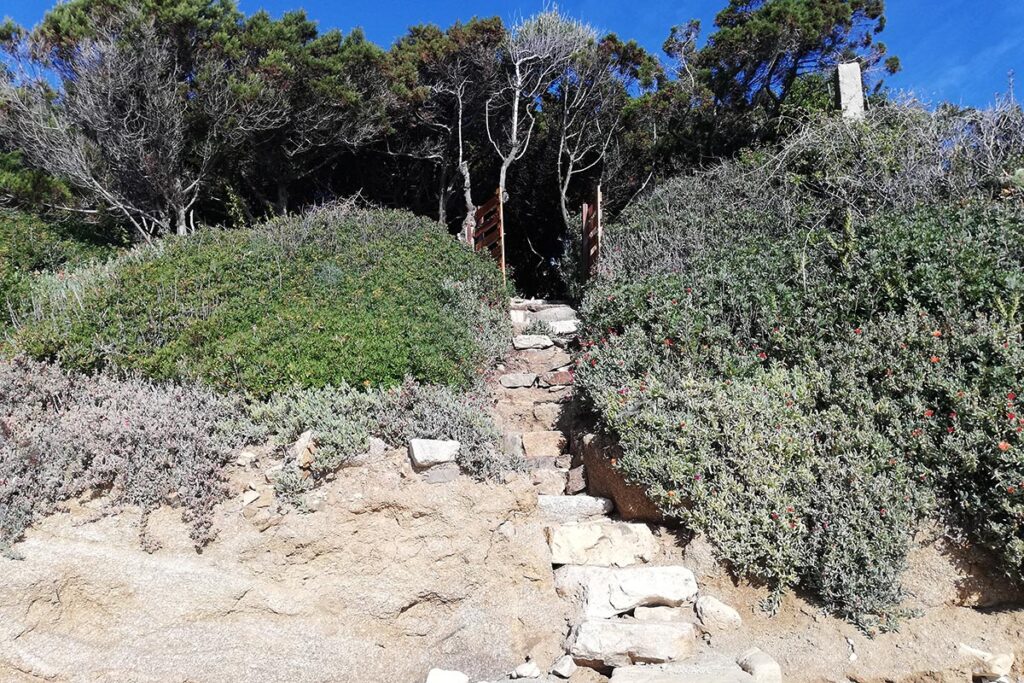 der Weg zum Garten des Ferienhauses Mandara, Baccu Mandara - meer sardinien urlaub
