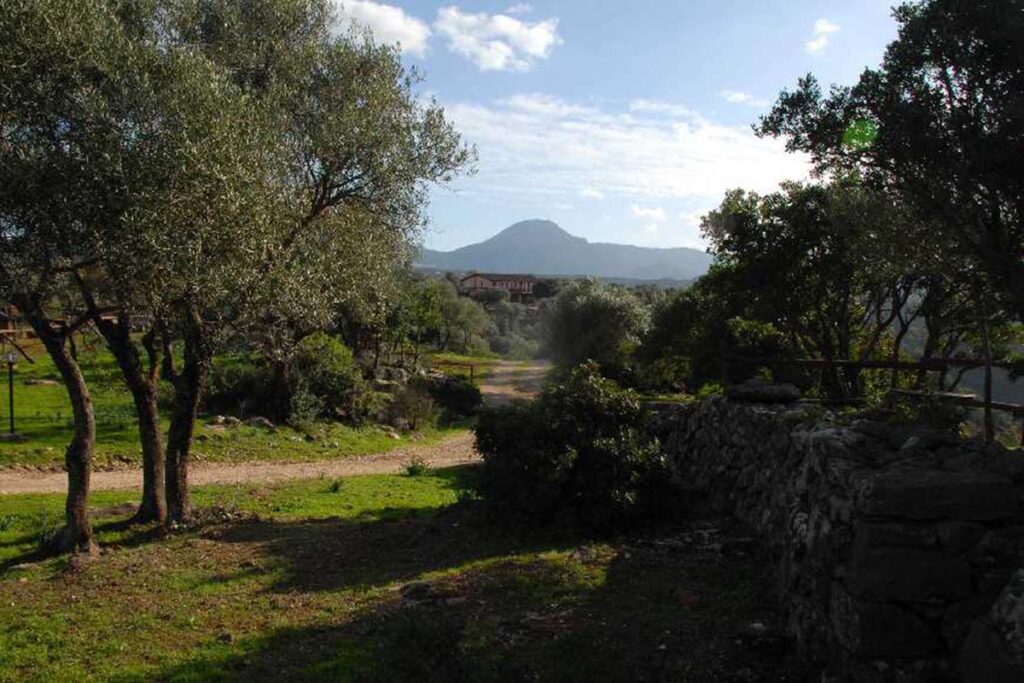 die Landschaft des Agriturismo Neule, Dorgali - meer sardinien urlaub