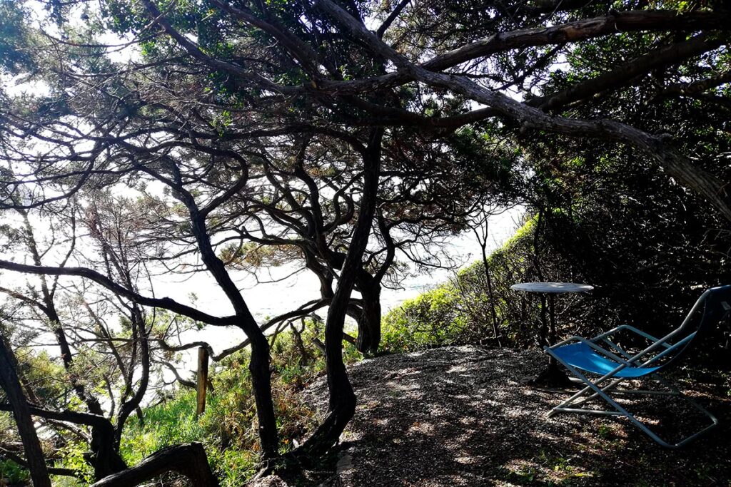 wunderbar im Naturgarten mit Meerblick des Ferienhauses Mandara, Baccu Mandara, entspannen - meer sardinien urlaub