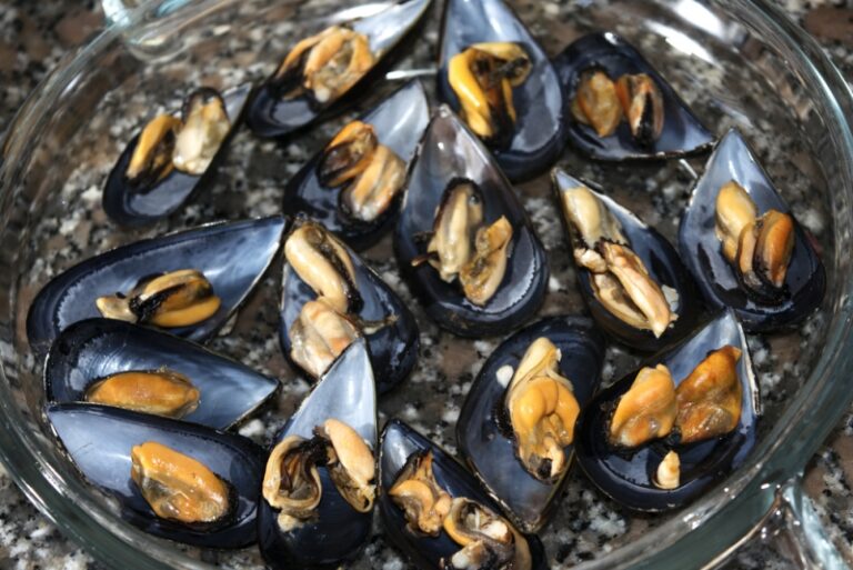Cozze
