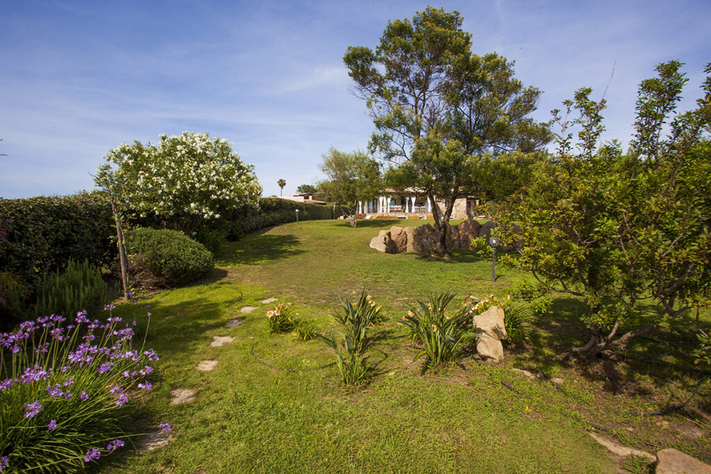 der gepflegte Garten des Ferienhauses Maresol mit Pool, Capo Coda Cavallo bei San Teodoro - meer sardinien urlaub