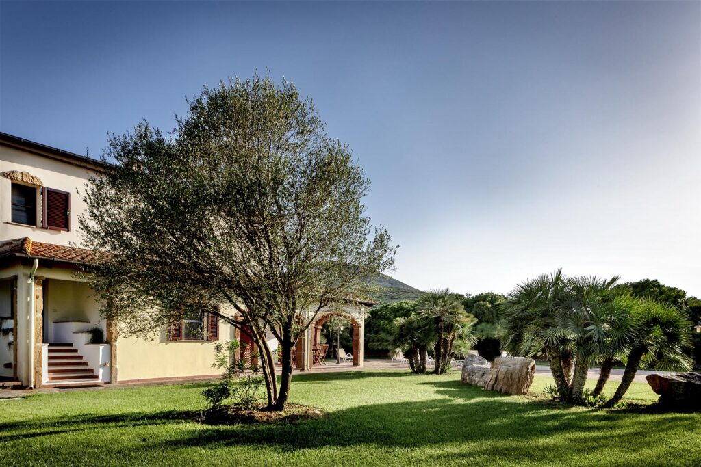 der Garten mit Olivenbäumen vor dem Ferienhaus Ulivo, Alghero - meer sardinien urlaub