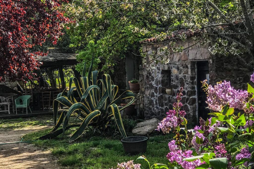 Die wunderschöne, ländliche Atmosphäre althergebrachter Zeiten im Agriturismo Il Muto di Gallura, Aggius - meer sardinien urlaub