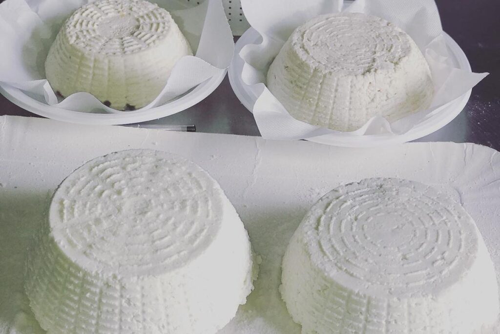 Leckere, frische Ricotta aus eigener Produktion im Agriturismo Il Muto di Gallura, Aggius - meer sardinien urlaub