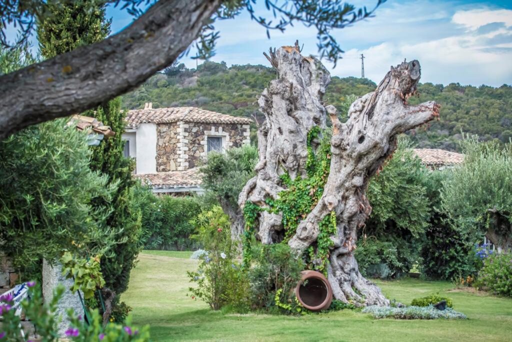 Idylle im Garten vom Hotel Villas Resort, Castiadas - meer sardinien urlaub