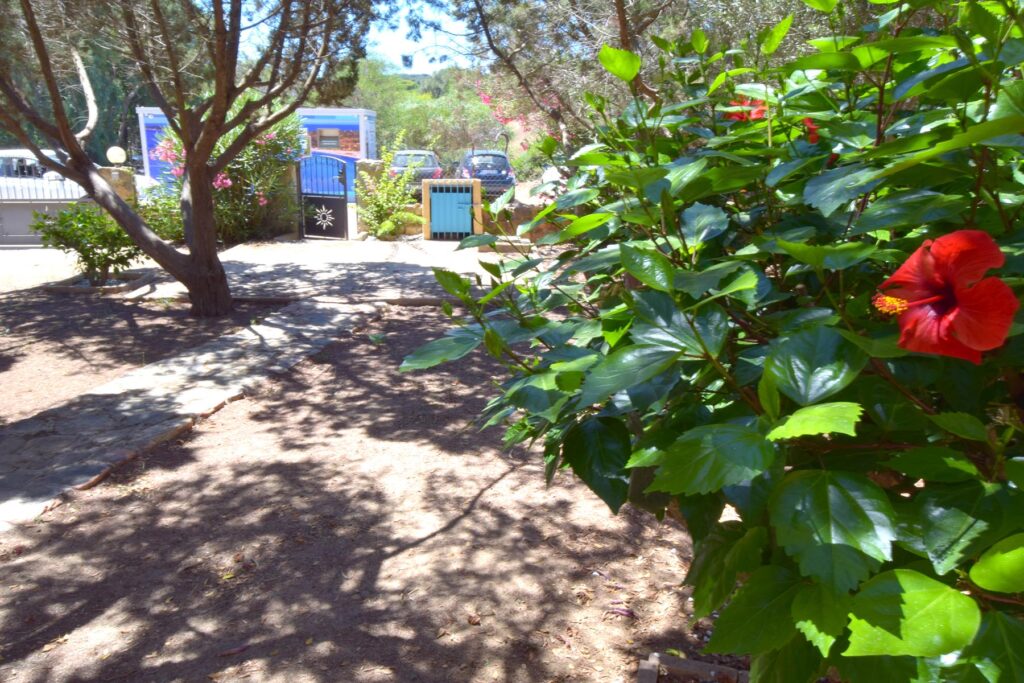 der Blick vom Garten zum Eingangstor des Ferienhauses Giunco, Villasimius - meer sardinien urlaub