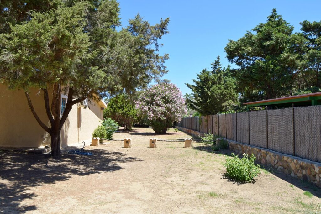 der Garten an der Hausseite des Ferienhauses Giunco, Villasimius - meer sardinien urlaub