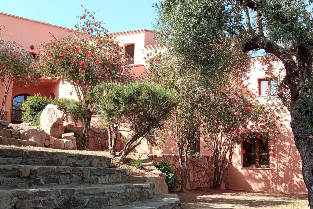 Ein Olivenbaum vor der Aussenfassade des Hotels Genna e Masoni, Cardedu - meer sardinien urlaub