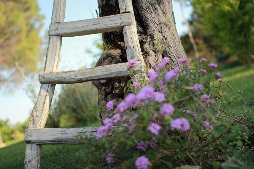 eine Holzleiter als schönes Deko-Element im Agriturismo Su Passu, Alghero - meer sardinien urlaub