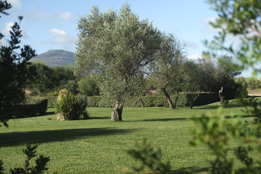 weite Grünflächen des Agriturismo Inghirios, Alghero - meer sardinien urlaub