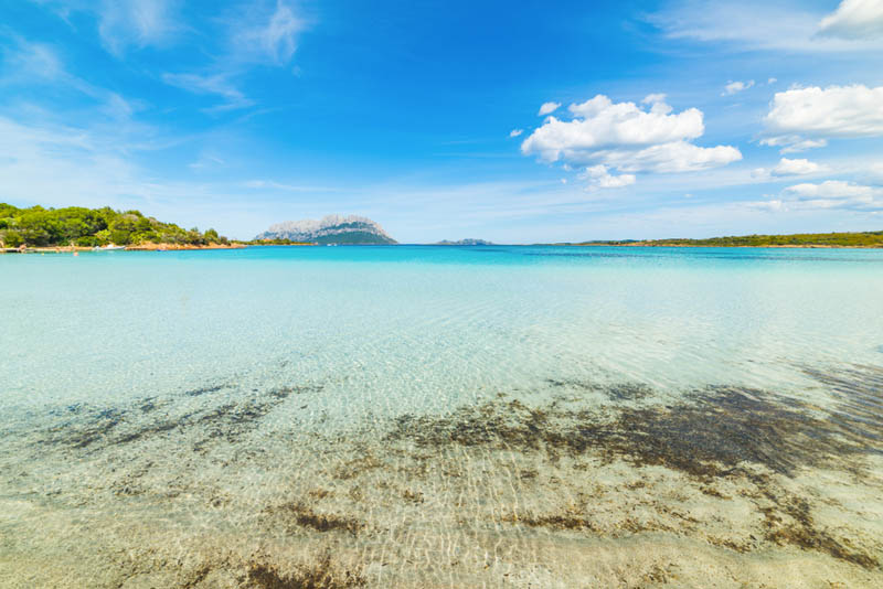 Das beeindruckend klare Wasser des Strandes Porto Istana mit Blick auf die Insel Tavolara, Sardinien - meer sardinien urlaub