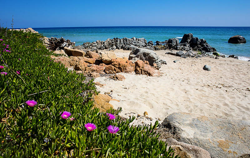 Ein bukolischer Anblick der Bucht Il Golfetto des Orri-Strandes bei Tortoli, Sardinien - meer sardinien urlaub
