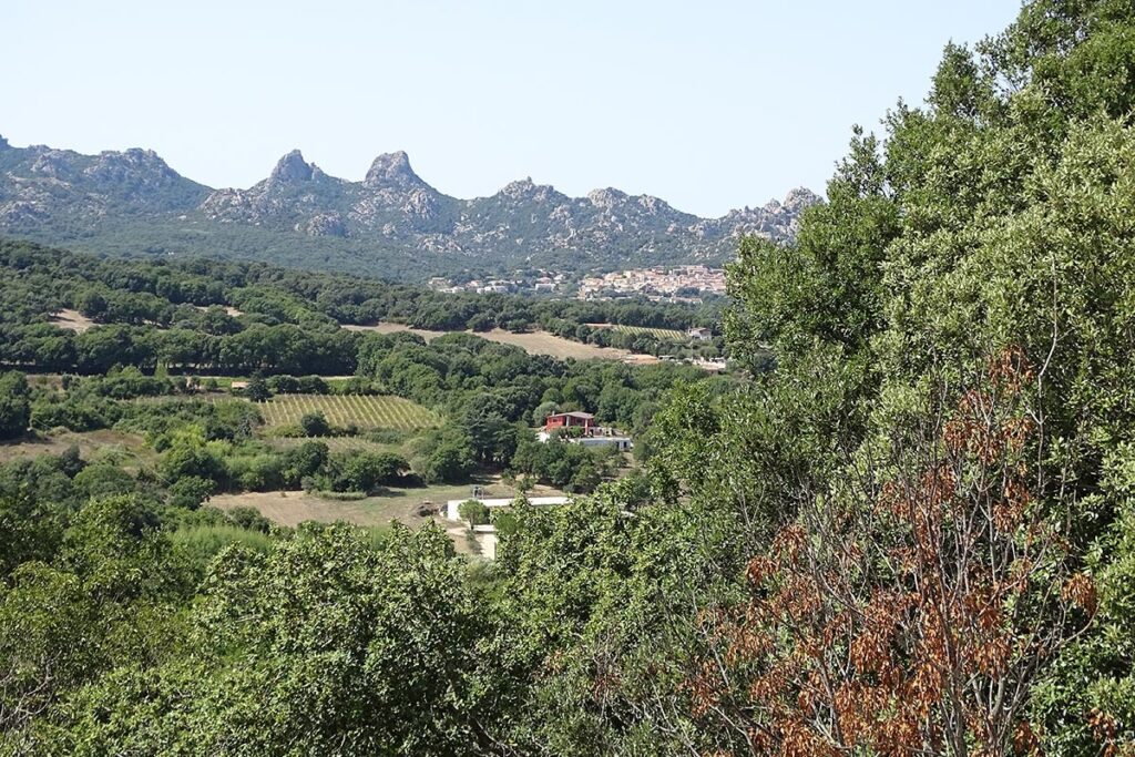 Naturpanorama-bei-Tempio-Pausania-meer-sardinien-urlaub