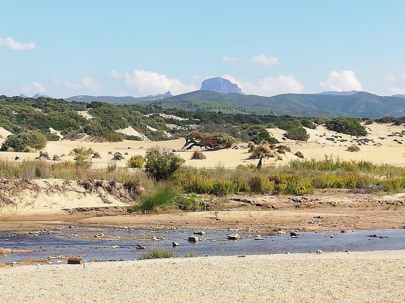 Sanddünen Piscinas - meer sardinien urlaub