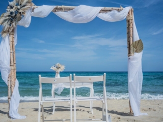 Birkenholz-Traubogen - Heiraten auf Sardinien